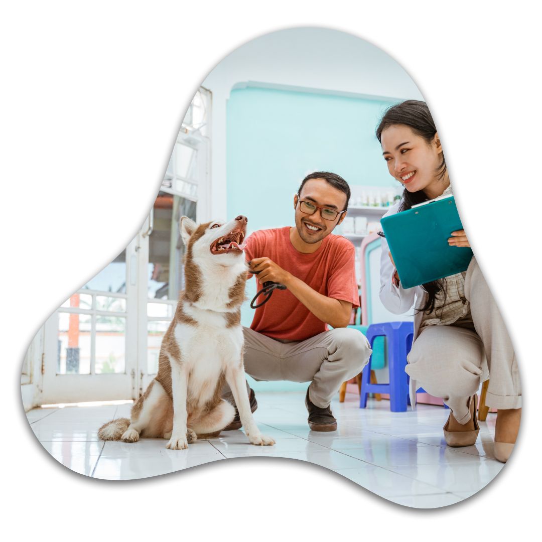 imagem de quem somos