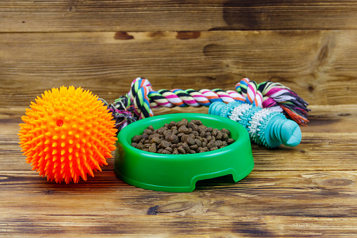 Dog toys and feed for dogs in green plastic bowl on wooden background. Dog care concept